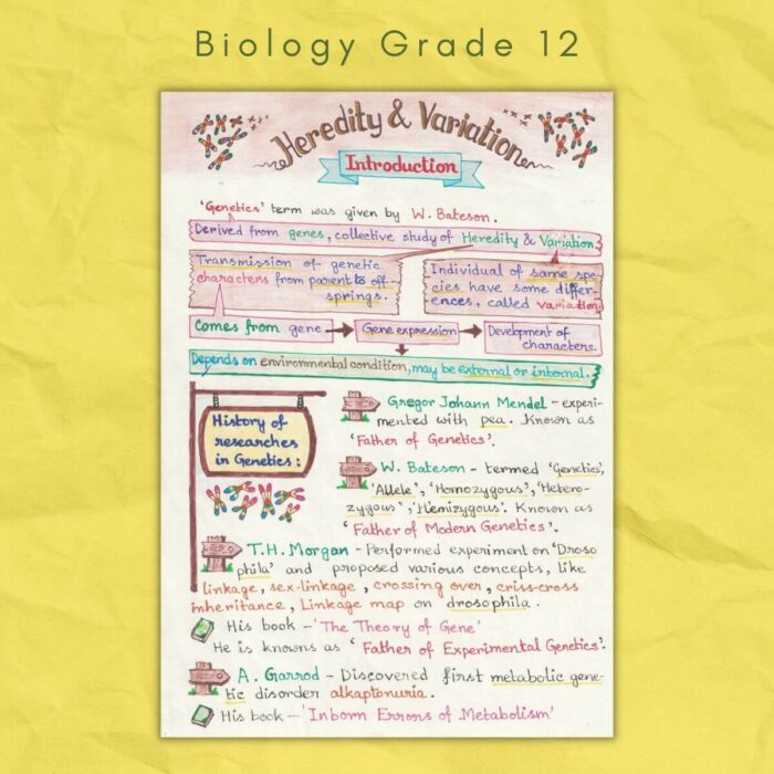 biology grade 12 heredity and variation
