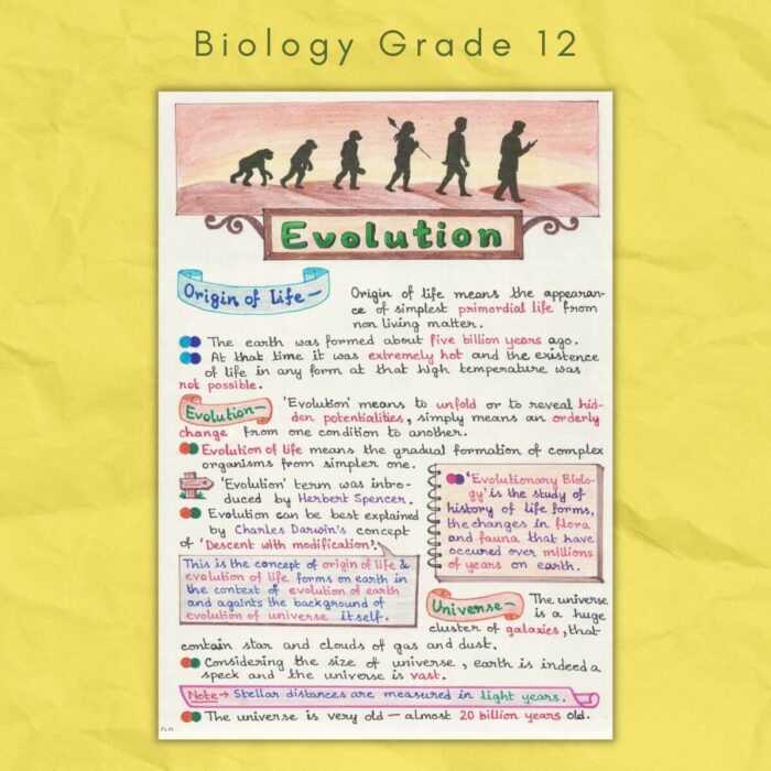 biology grade 12 evolution