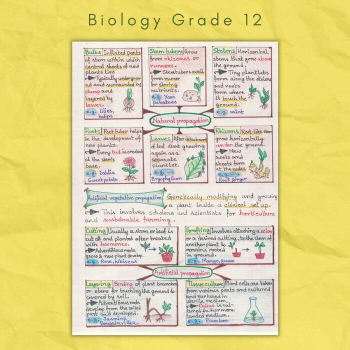biology grade 12 natural and artificial propagation