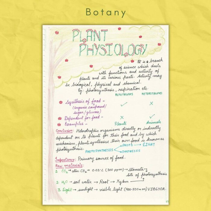 botany study notes plant physiology