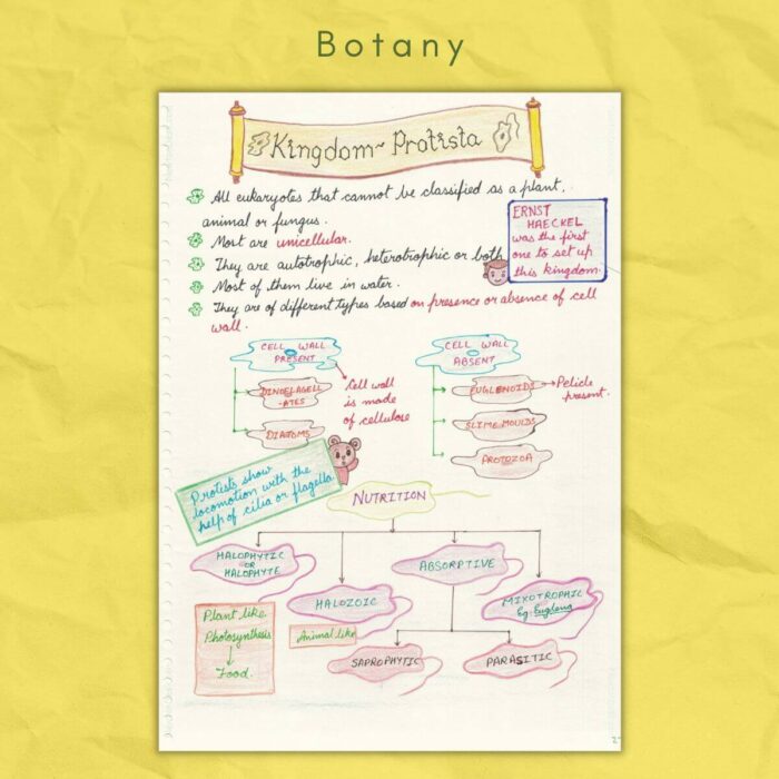 botany study notes kingdom protista