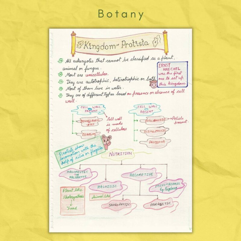 Botany Notes For Class 11 Download Complete Study Material