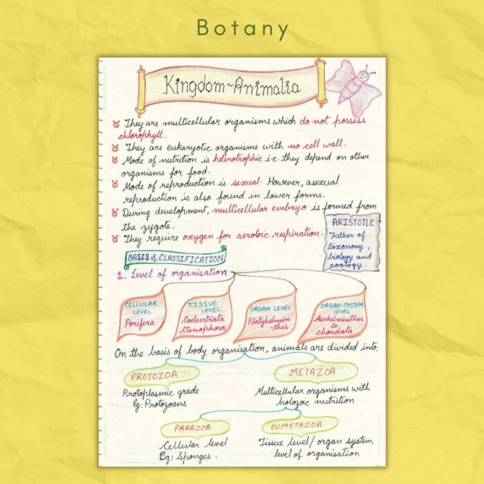 botany study notes kingdom animalia
