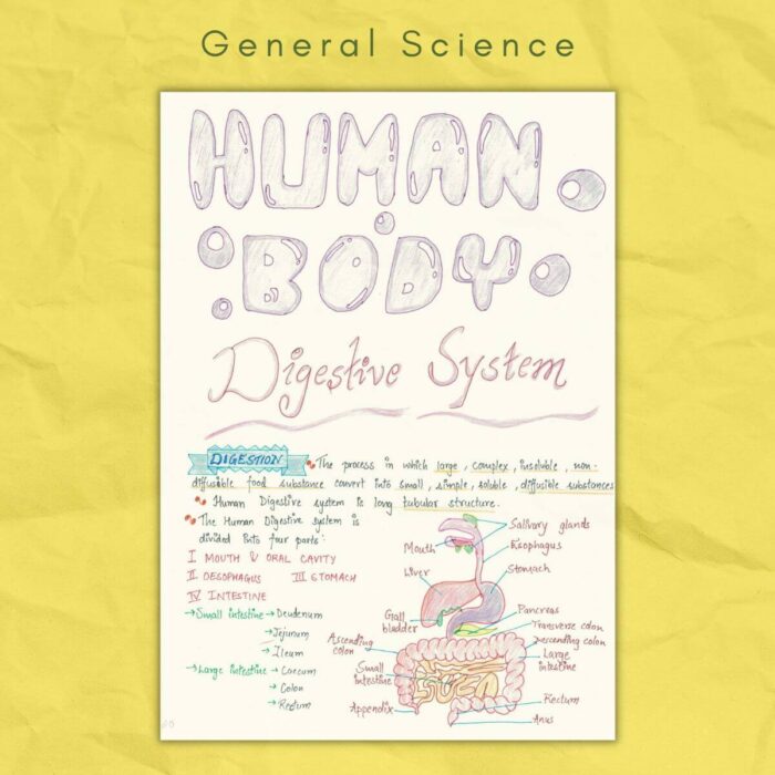 human body digestive system in general science notes