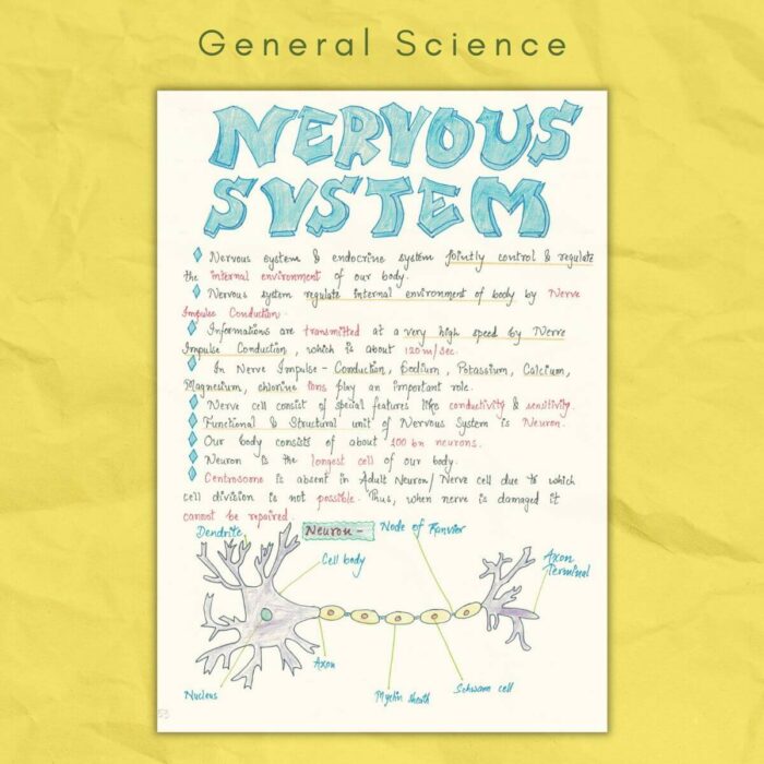 nervous system in general science notes
