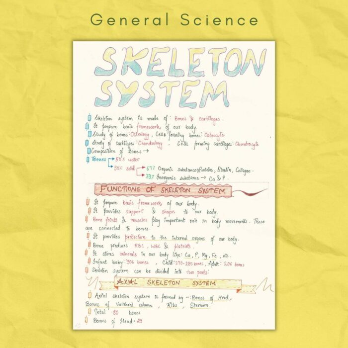 skeleton system in general science notes