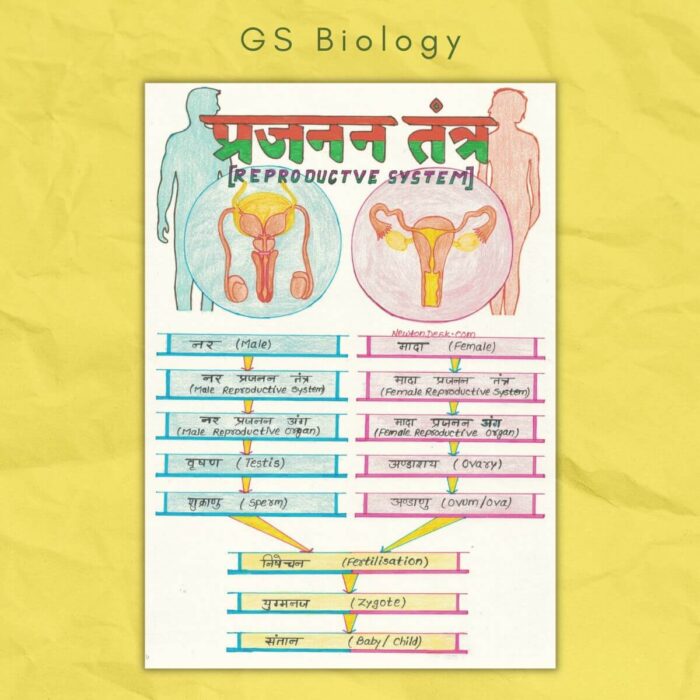 reproductive system general science study notes sample
