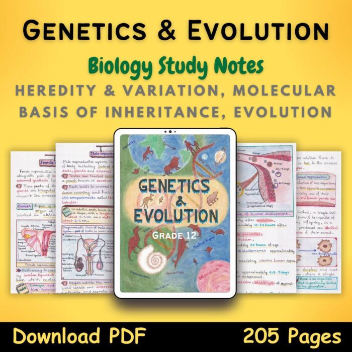 genetics and evolution biology Grade 12 Study Notes
