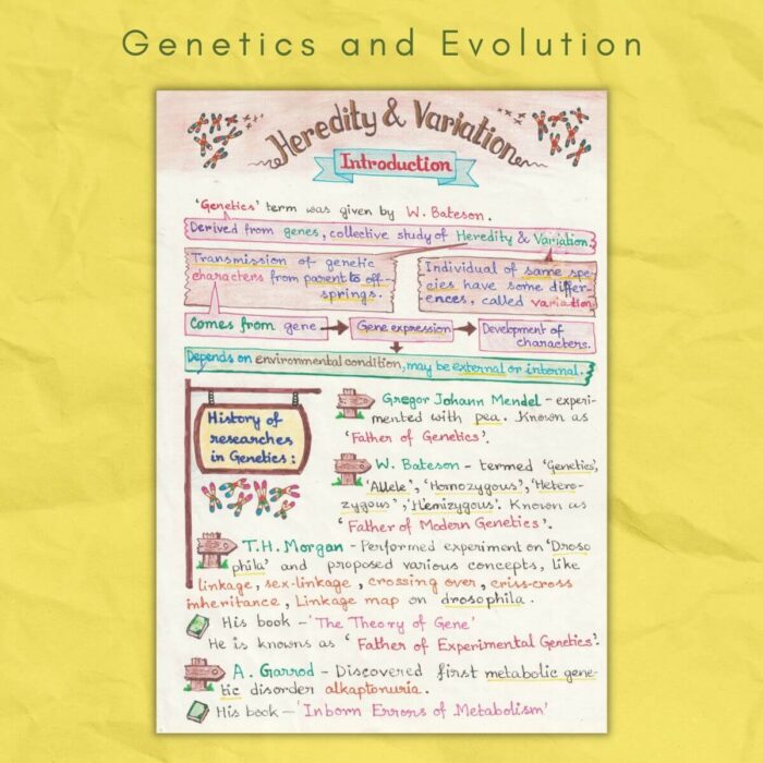 heredity and variation in genetics and evolution biology grade class 12 sample