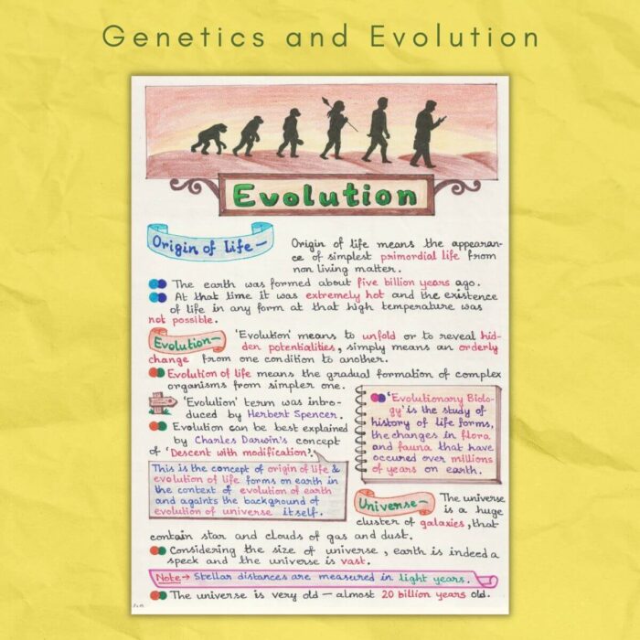 human evolution in genetics and evolution biology grade class 12 sample