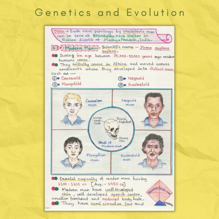 modern man in genetics and human evolution biology grade class 12 sample