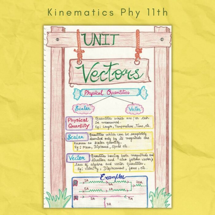 vectors in kinematics physics grade class 11