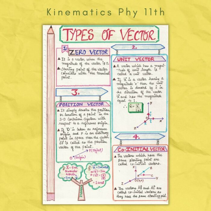 types of vector in kinematics physics grade class 11