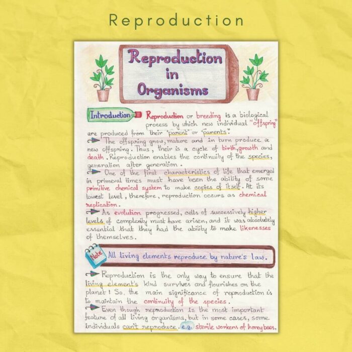 reproduction in organisms biology grade class 12 sample