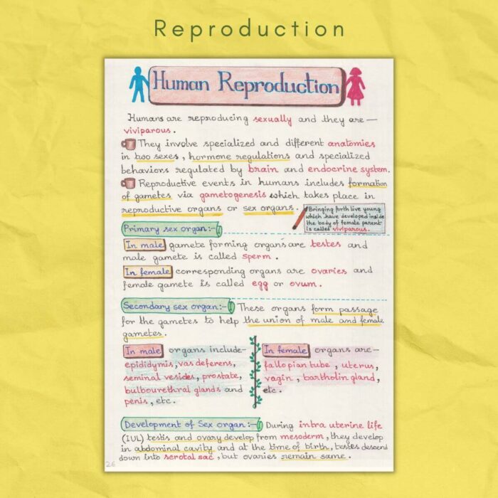 human reproduction in reproduction biology grade class 12 sample