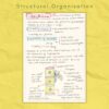 metaphloem structural organization biology 11