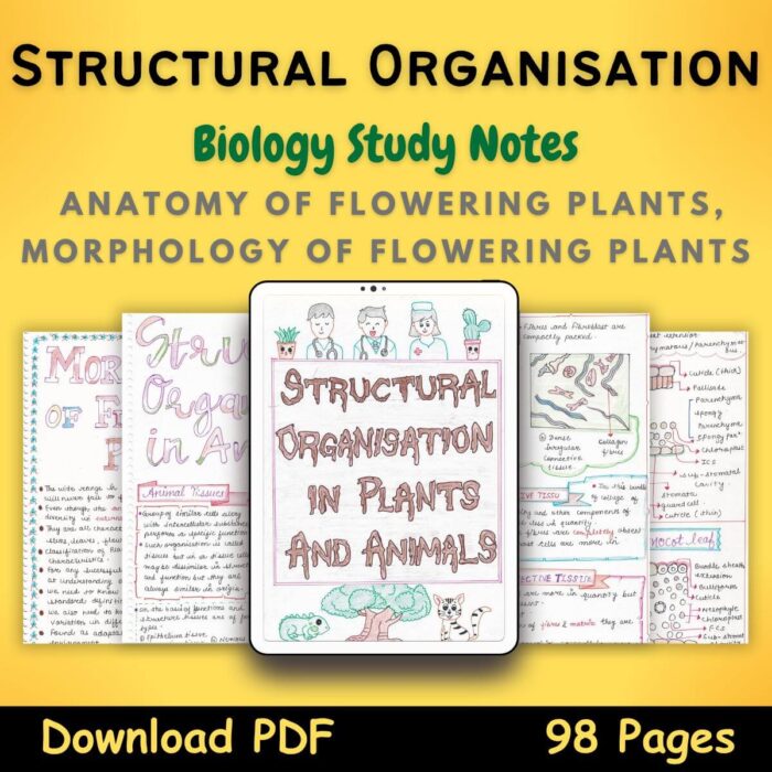 structural organisation in animals biology 11 Study Notes