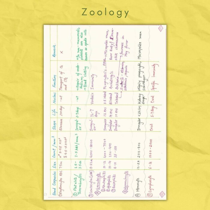 zoology class 11 study notes blood corpuscles