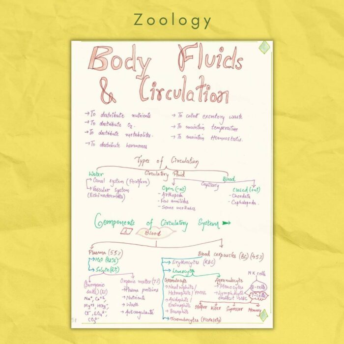 zoology class 11 body fluids and circulation