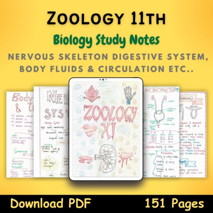 zoology biology grade 11 Study Notes
