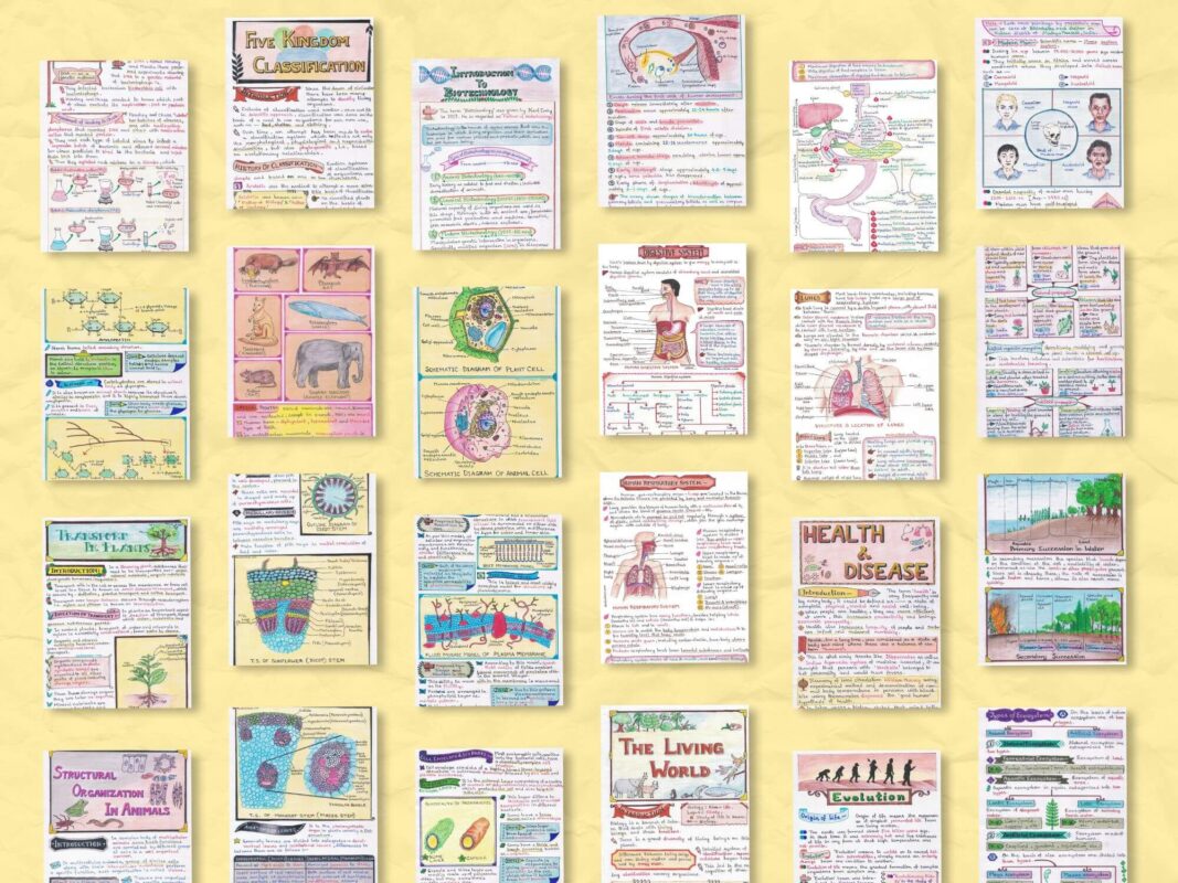 Complete Biology Aesthetic Notes Bundle (Special Edition) [PDF ...