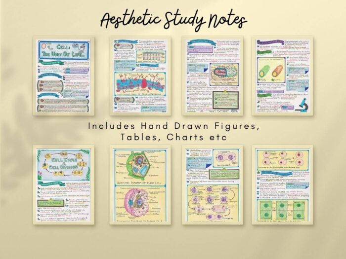 some aesthetic cell structure function biology study notes demo pages showing horizontally with light brown color background in photo frames