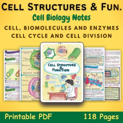 cell structure and function biology aesthetic notes pdf featured image