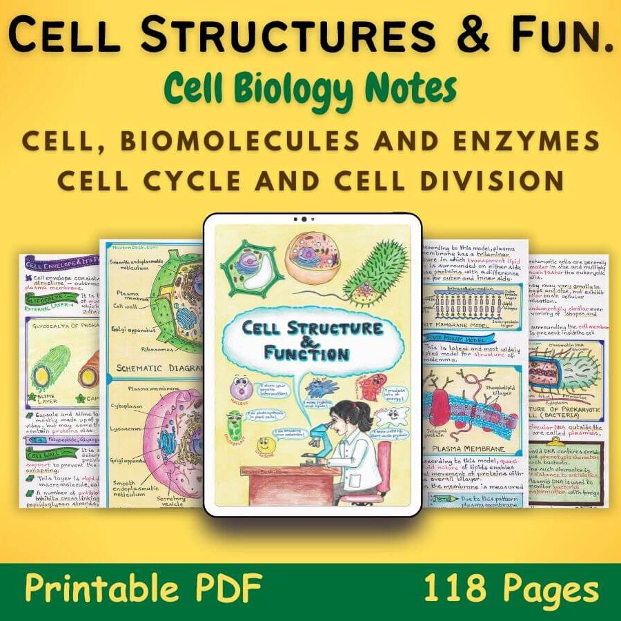 Cell Structure And Function Cell Biology Notes Teaching