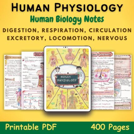 human physiology biology aesthetic notes pdf featured image