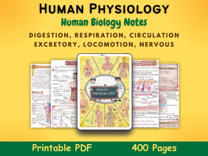 human physiology biology aesthetic notes pdf featured image