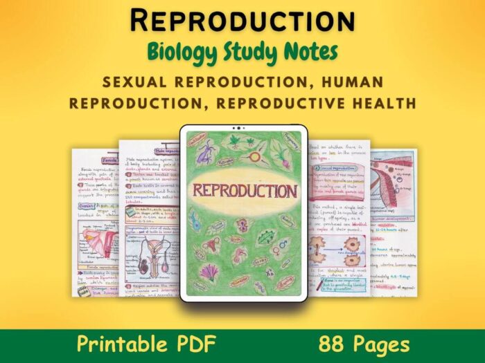human reproduction biology aesthetic notes pdf featured image