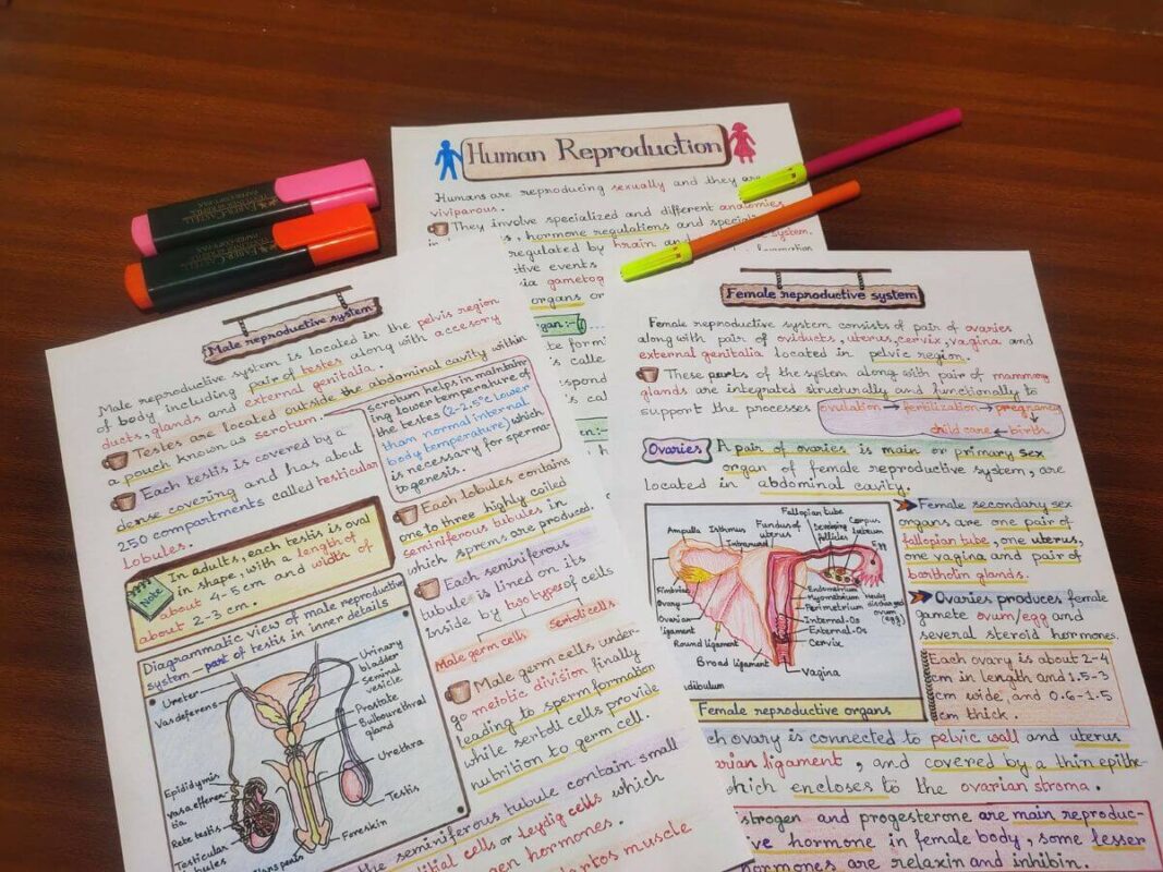 Human Reproduction (Male and Female) Aesthetic Notes [PDF] - NewtonDesk