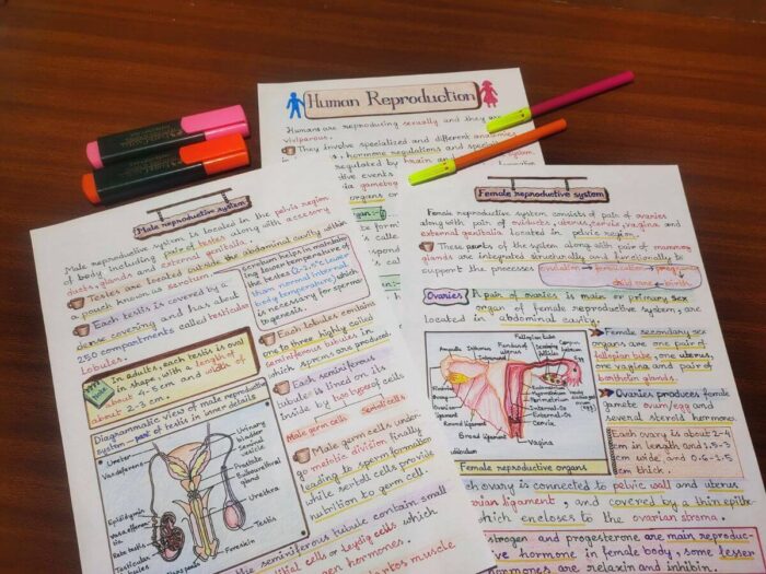 biology male and female human reproduction study notes clicked sample image