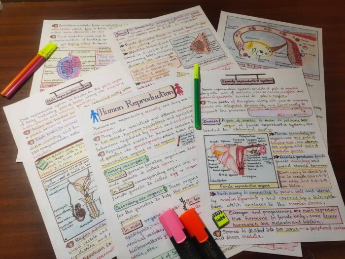 biology male and female human reproduction study notes clicked multiple sample image